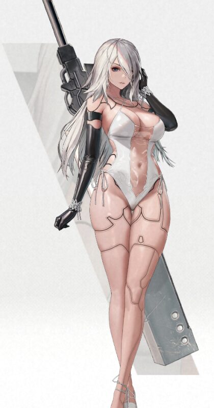 NIKKEのA2の水着