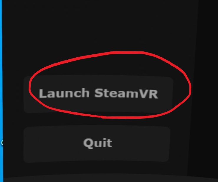 ステラーブレイドのVR化