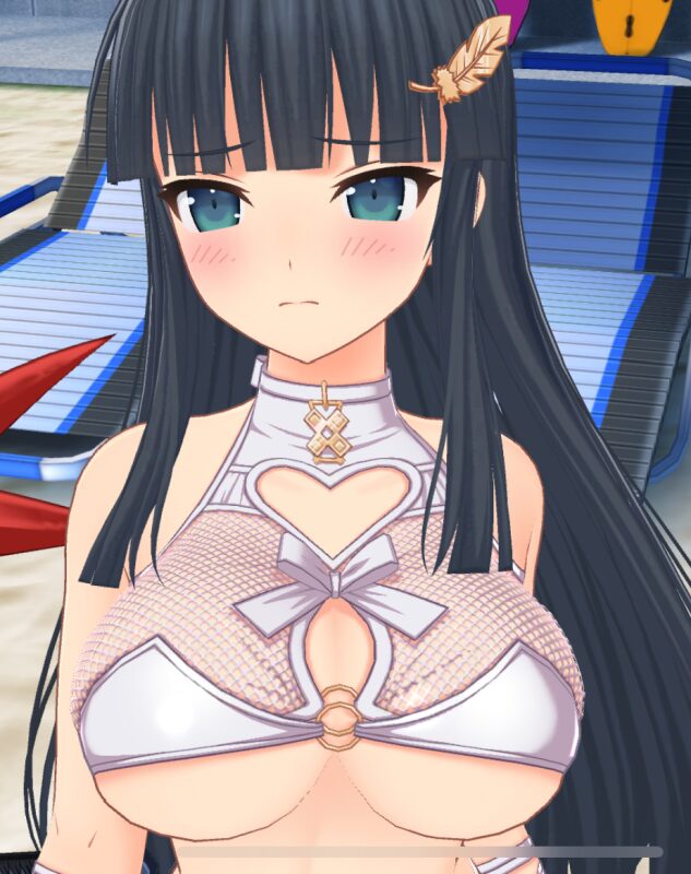 ドルフィンウェーブの閃乱カグラコラボ斑鳩おっぱい谷間