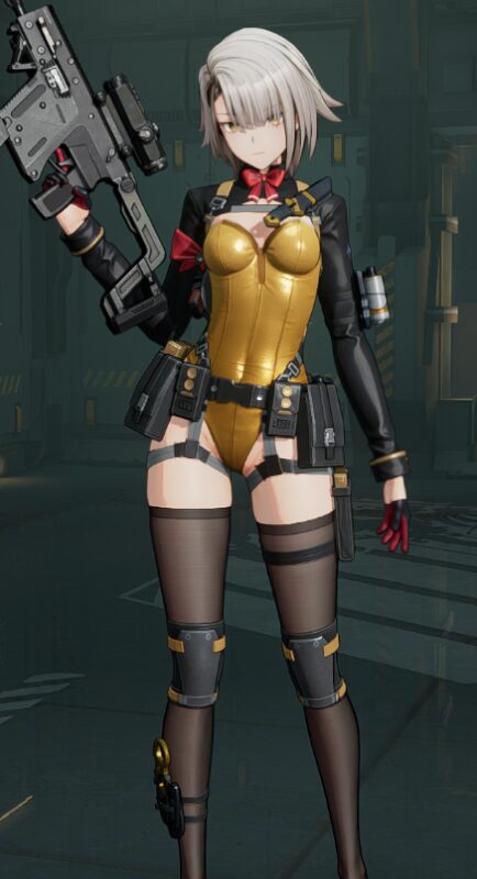 ドルフロ2のヴェクターバニー