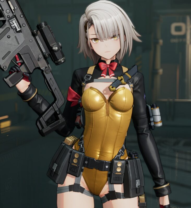 ドルフロ2のヴェクターバニー