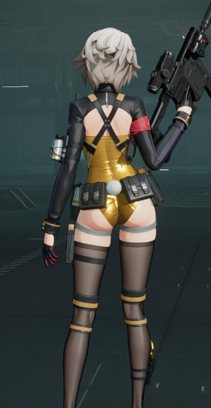ドルフロ2のヴェクターバニー後ろ姿