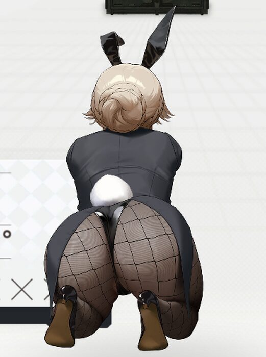 NIKKEのバニーエードお尻