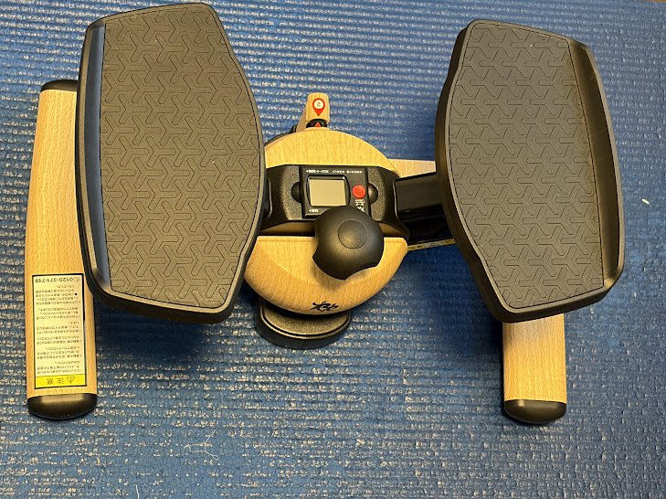 オアシスのステッパー