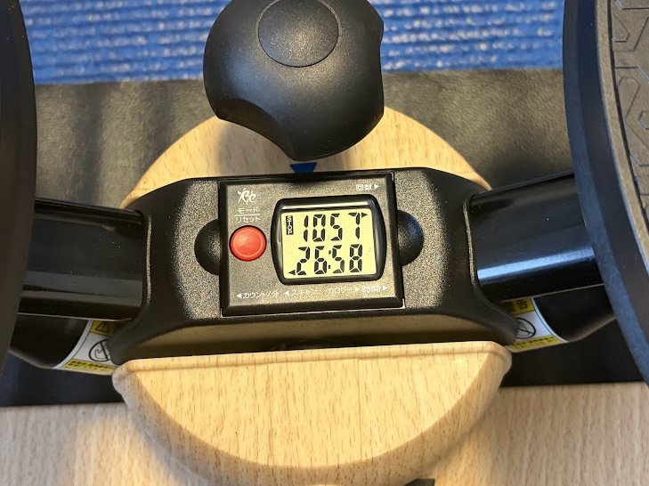 オアシスのステッパー約30分