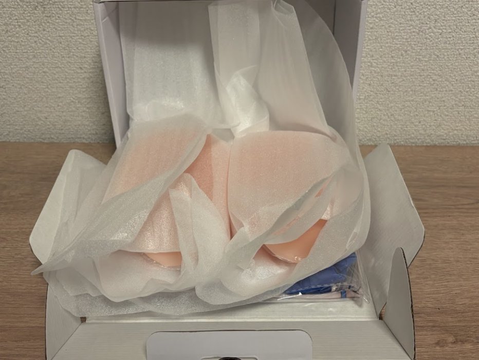 ブラウンダスト2ウィルヘルミナの枕カバーシリコン