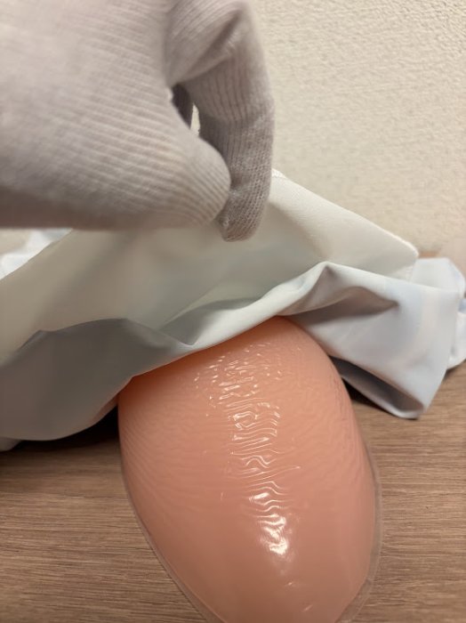 ブラウンダスト2ウィルヘルミナの枕カバーシリコン入らない