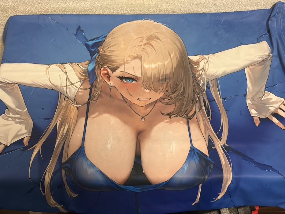 ブラウンダスト2ウィルヘルミナの枕カバー表