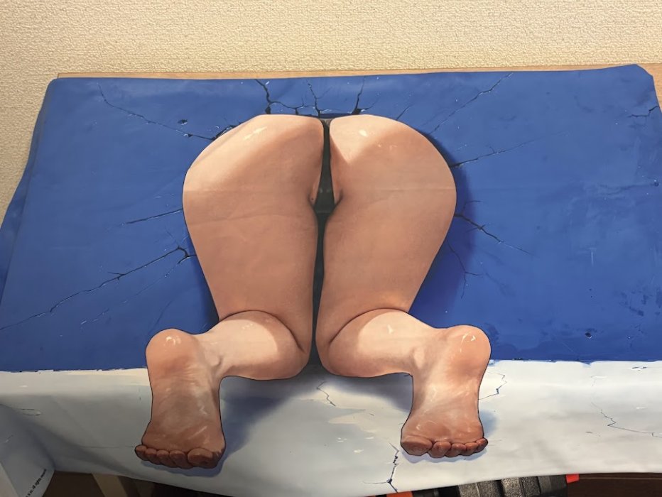 ブラウンダスト2ウィルヘルミナの枕カバー裏