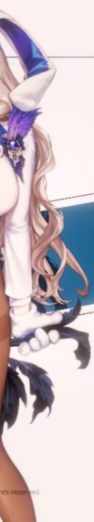 ブラウンダスト2バニーダリアン1