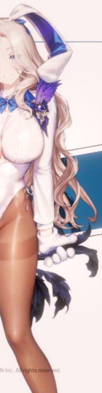 ブラウンダスト2バニーダリアン2