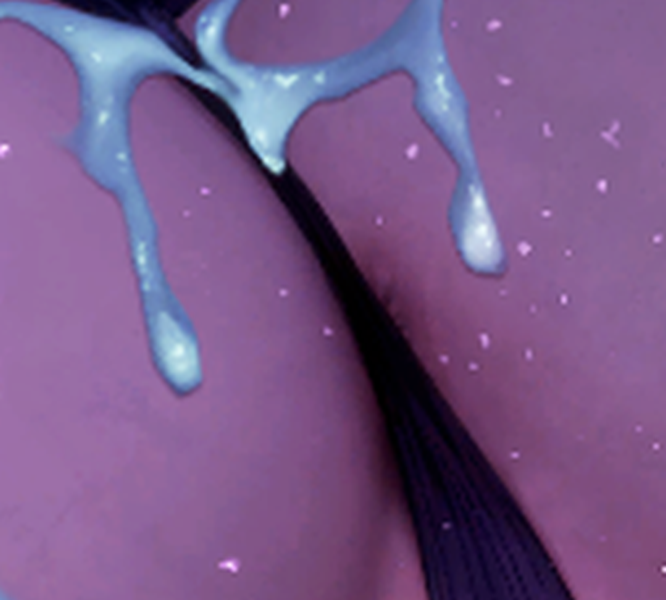 ブラウンダスト2のパレットのお尻アップ