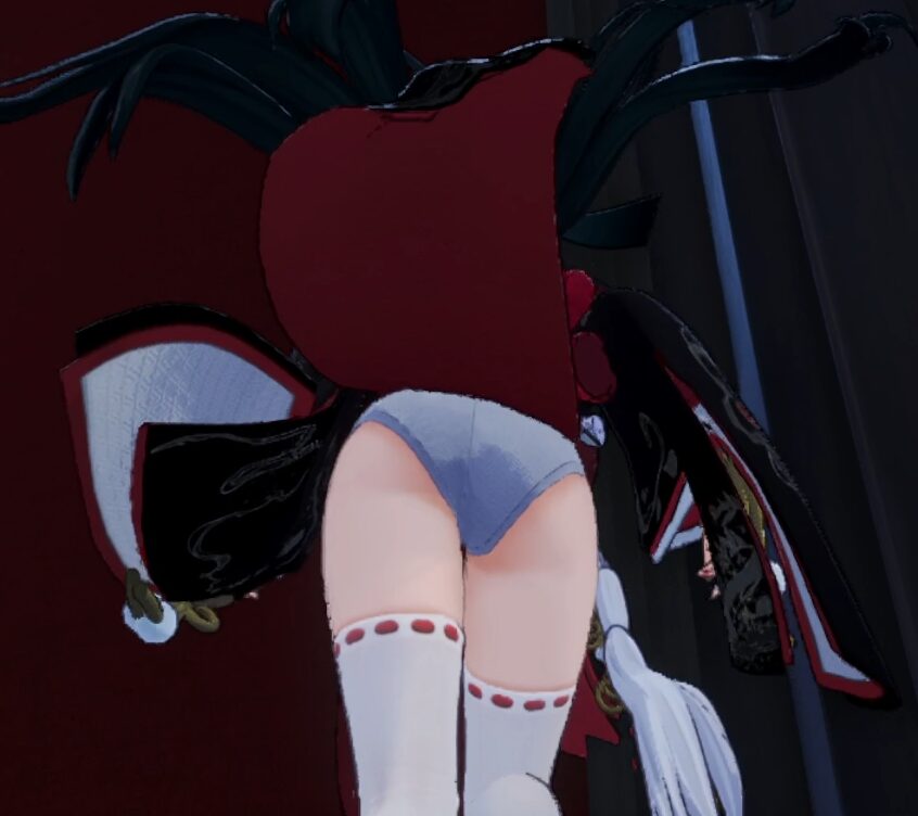 NTEネバエバのほとりパンチラ