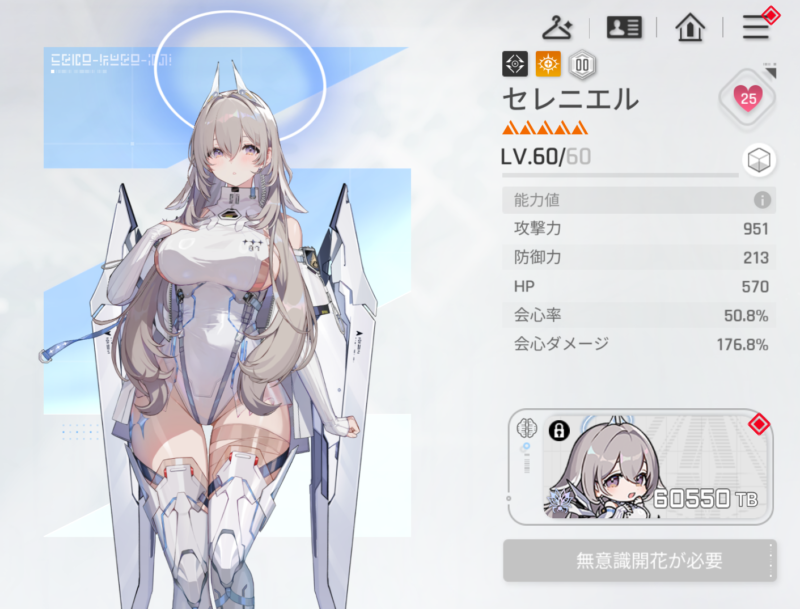カオスゼロナイトメアのレベル