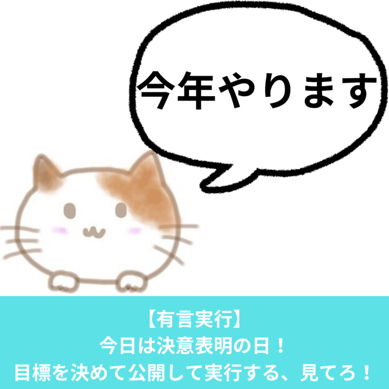 成人男性がダイエットするための決意表明